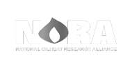 logo_nora_3.png