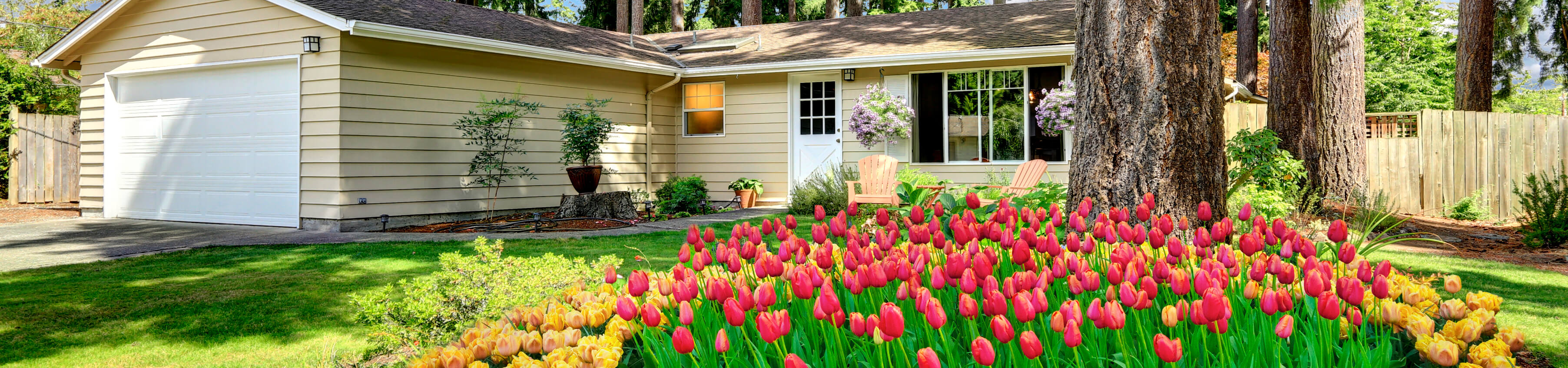 spring_house_2022.png
